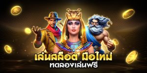 เล่นสล็อต มือใหม่ ทดลองเล่นฟรี