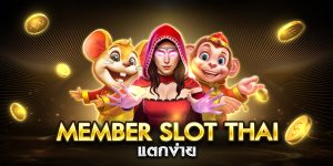member slot thai เล่นฟรี